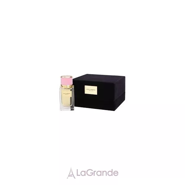 Dolce & Gabbana Velvet Love ����������� ����