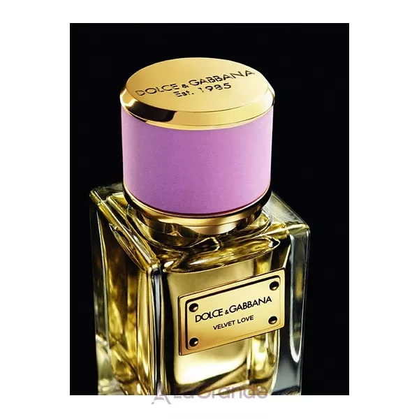 Dolce & Gabbana Velvet Love ����������� ����