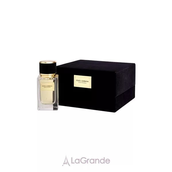 Dolce & Gabbana Velvet Patchouli ����������� ����