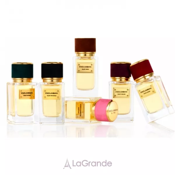 Dolce & Gabbana Velvet Patchouli ����������� ����