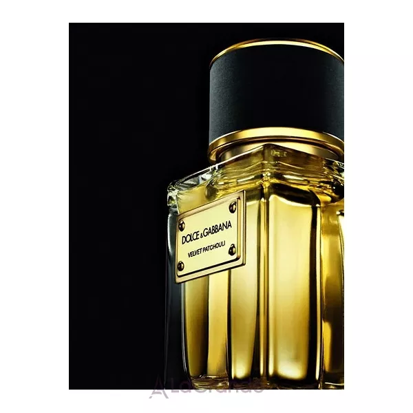 Dolce & Gabbana Velvet Patchouli ����������� ����