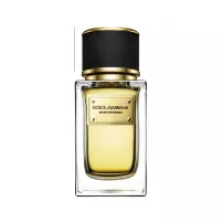 Dolce & Gabbana Velvet Patchouli ����������� ���� (������)