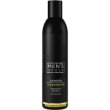ProfiStyle Men's Style Normalizing Shampoo 250ml