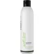 ProfiStyle Anti-Loss Shampoo 250ml