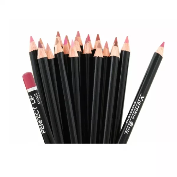 Victoria Shu Perfect Lip ������ ��� ���