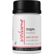 ProfiStyle Volume Powder Volumizing 10g