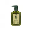 CHI Olive Organics Hair and Body Shampoo Шампунь для волосся та тіла з оливою