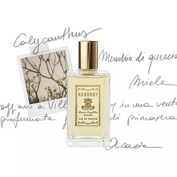 Maria Candida Gentile  Hanbury ��������������� ���� (������ � ���������)