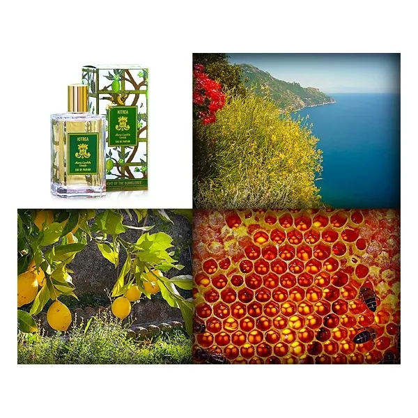 Maria Candida Gentile Kitrea ��������������� ����