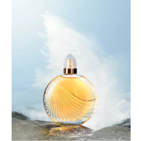 Ted Lapidus Creation ��������� ����