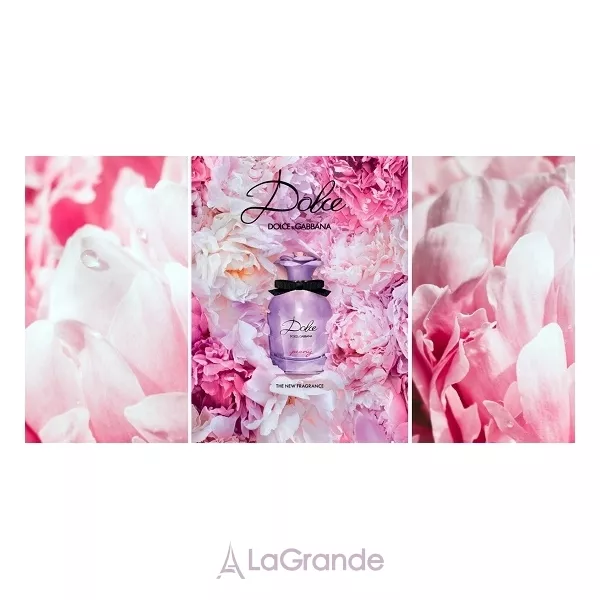 Dolce & Gabbana Dolce Peony ��������������� ���� (������ � ���������)
