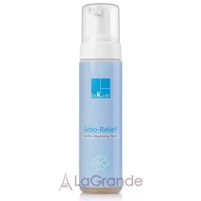 Dr. Kadir Cleaners and Tonic Sebo-relief Gentle Cleansing Foam   