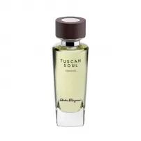 Salvatore Ferragamo Tuscan Soul Convivio �������� ���� (������ �� ���������)