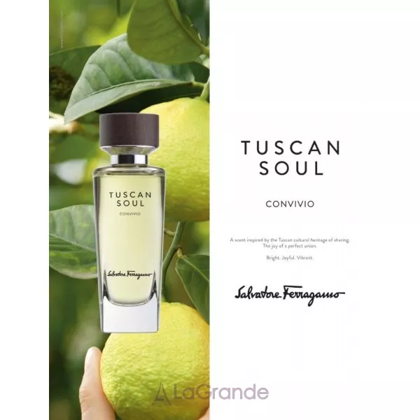 Salvatore Ferragamo Tuscan Soul Convivio �������� ���� (������ �� ���������)