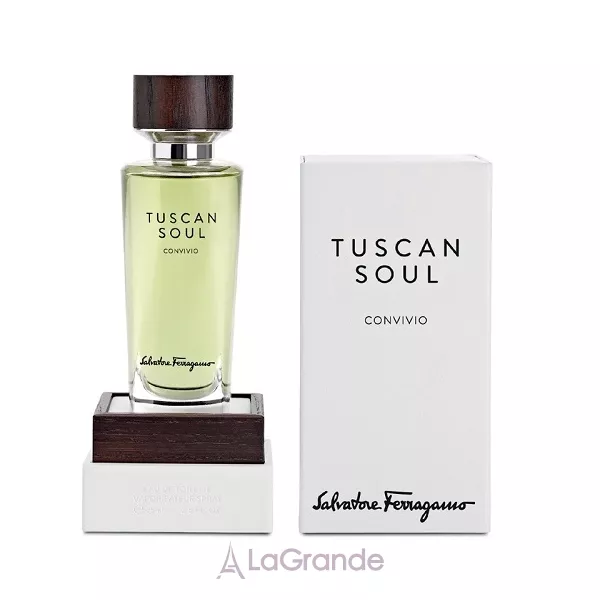Salvatore Ferragamo Tuscan Soul Convivio �������� ���� (������ �� ���������)