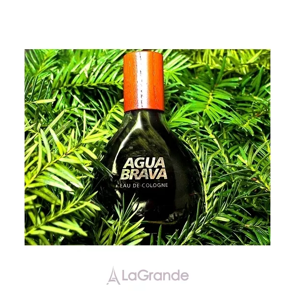 Antonio Puig Agua Brava ��������