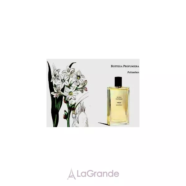 Bottega Profumiera Polianthes ��������������� ����