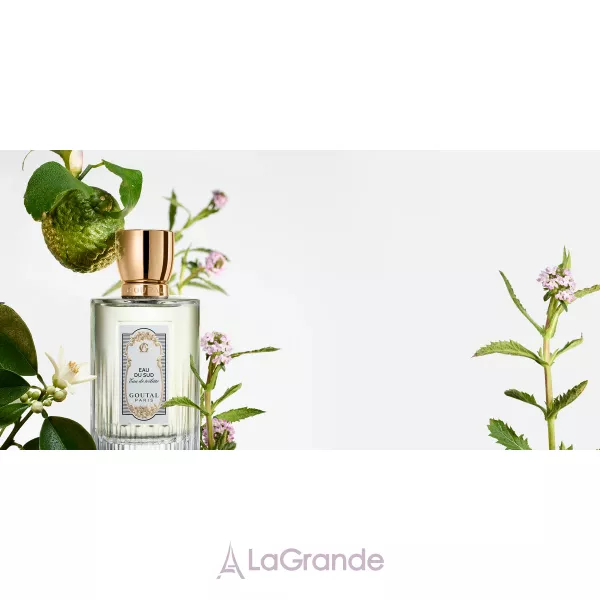 Annick Goutal Eau du Sud Men ��������� ����