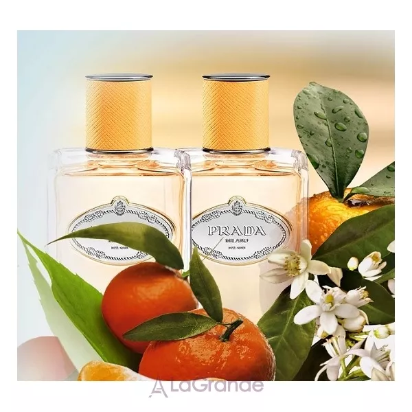 Prada Infusion Mandarine ��������������� ����