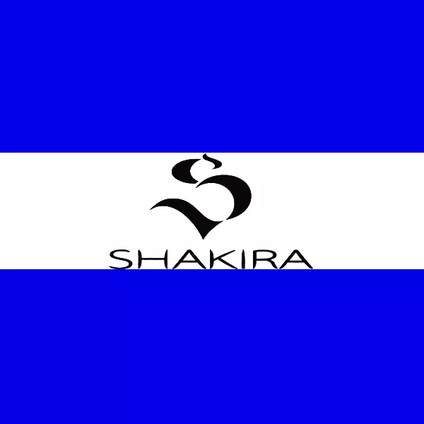 Shakira S Kiss ��������� ���� (������ � ���������)