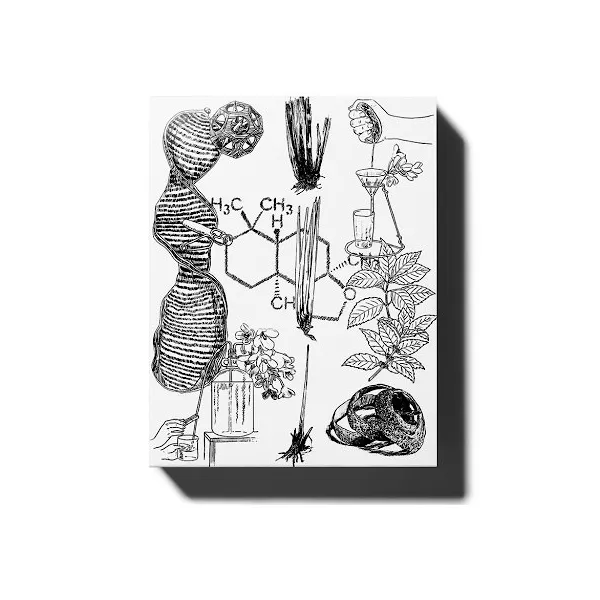 Oliver & Co Vetiverus ��������������� ����