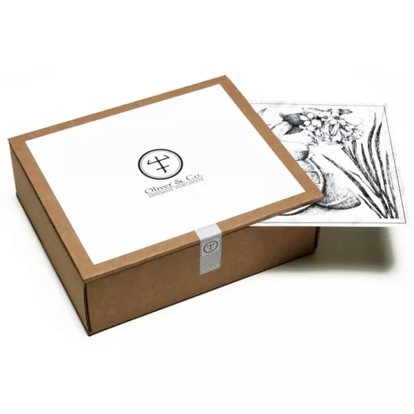 Oliver & Co Resina ��������������� ����