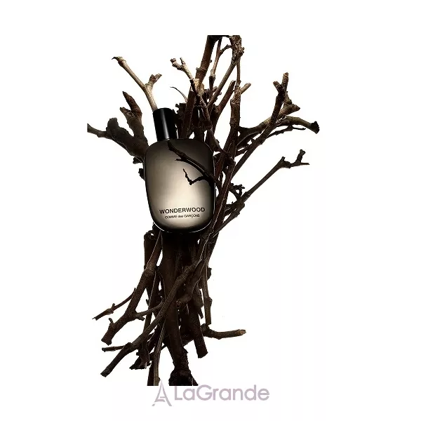 Comme des Garcons Wonderwood ����������� ����