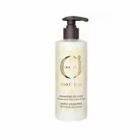 Barex Italiana Olioseta Silk and Linseed Shampoo ������� ������� 䳿 � ��������� ����� �� ���������� ������ �����.