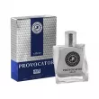Art Parfum Provocator Silver  