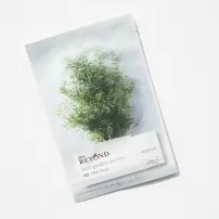 Beyond Herb Garden Tea Tree Mask ����� ��� ������� "����� ������"