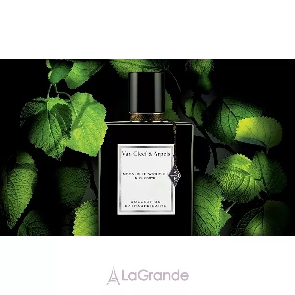 Van Cleef & Arpels Collection Extraordinaire Moonlight Patchouli ��������������� ���� (������ � ���������)