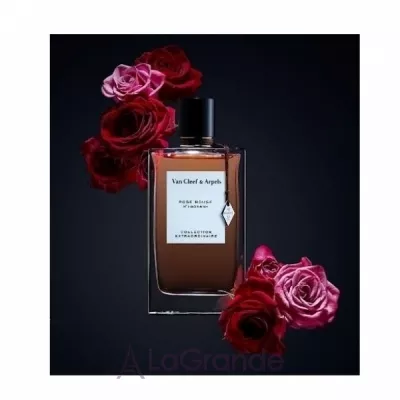 Van Cleef & Arpels Collection Extraordinaire Rose Rouge   (  )