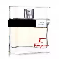 Salvatore Ferragamo by Ferragamo pour Homme ��������� ���� (������)