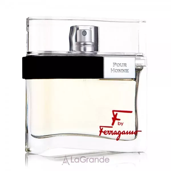 Salvatore Ferragamo by Ferragamo pour Homme ��������� ���� (������)