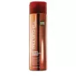 Paul Mitchell Ultimate Color Repair Shampoo     