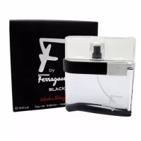 Salvatore Ferragamo By Black ��������� ����