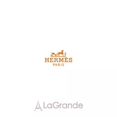 Hermes Terre D`Hermes   