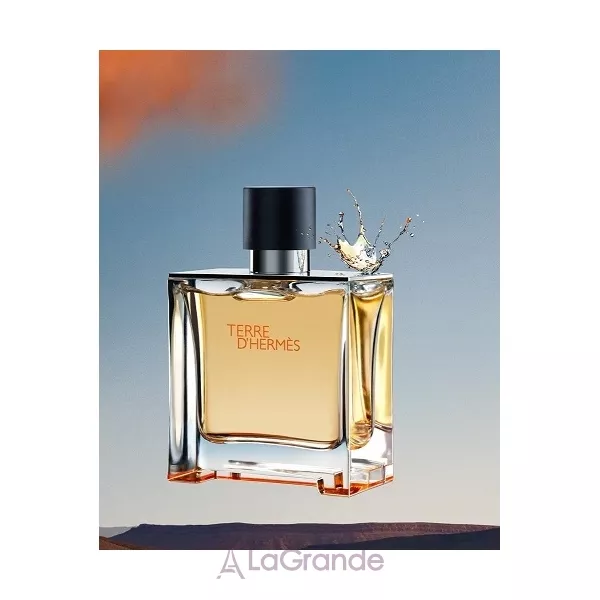 Hermes Terre D`Hermes ���� ��� ����