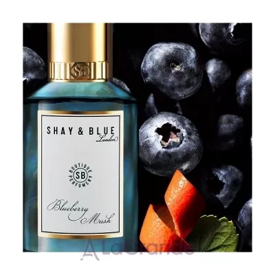 Shay & Blue London  Blueberry Musk   (  )