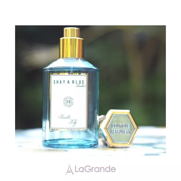 Shay & Blue London  Scarlet Lily ��������������� ���� (������ � ���������)