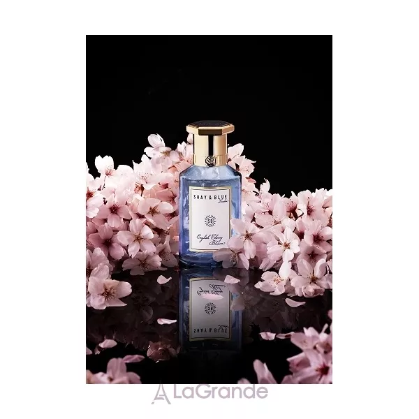 Shay & Blue London English Cherry Blossom ��������������� ���� (������ � ���������)