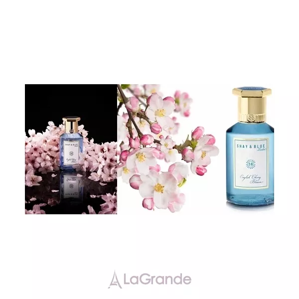 Shay & Blue London English Cherry Blossom ��������������� ���� (������ � ���������)