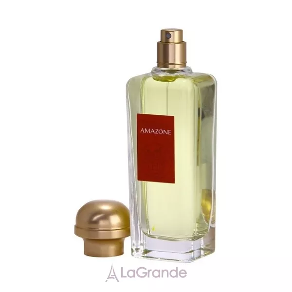 Hermes Amazone ��������� ����