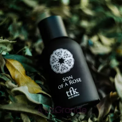 The Fragrance Kitchen  Son of a Rose  