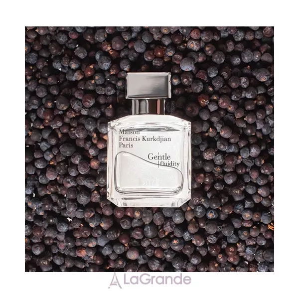 Maison Francis Kurkdjian  Gentle Fluidity Silver ��������������� ����