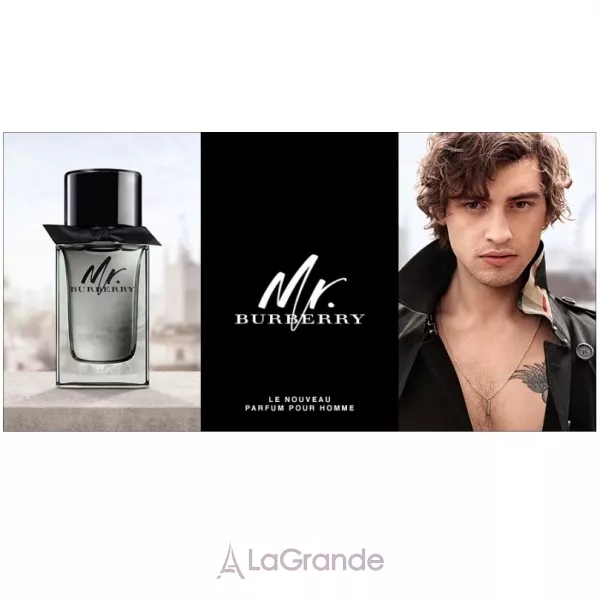 Burberry Mr. Burberry ����������