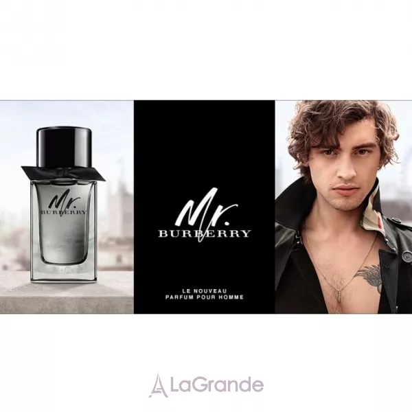Burberry Mr. Burberry ������� ���� ������