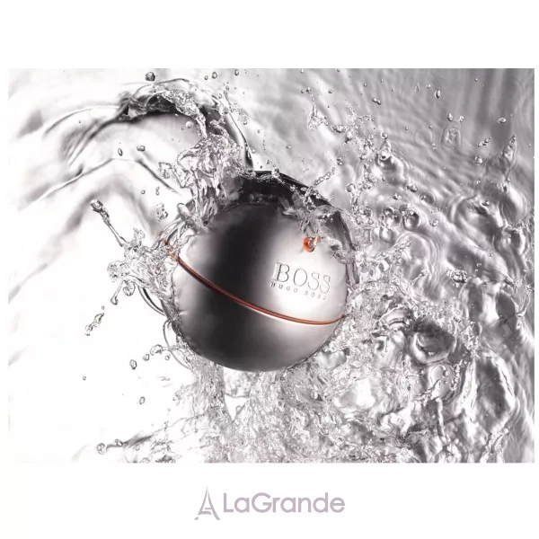 Hugo Boss Boss In Motion ��������� ���� (������)