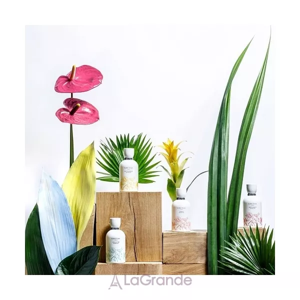 Annick Goutal  Songes Eau Sans Alcool ����������� ���� (������)