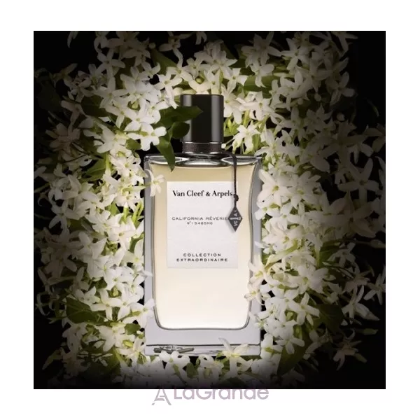 Van Cleef & Arpels Collection Extraordinaire California Reverie ��������������� ����